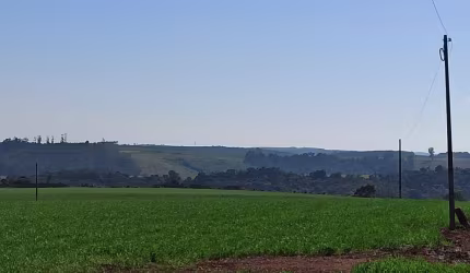 Magnífica Fazenda no Estado de São Paulo