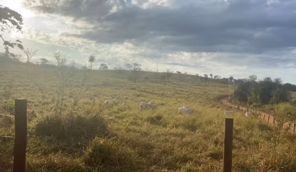 Fazenda com terra nua em Matozinhos