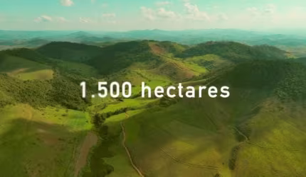 Fazenda leiteira em Juiz de Fora