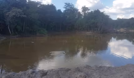 Fazenda Top em Inhaúma-MG