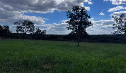 Fazenda com excelente custo-benefício em Curvelo-MG