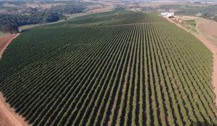 Fazenda de café em São Gonçalo do Sapucaí