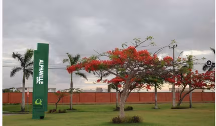 Lote à venda em Pium (Parnamirim/RN) I Alphaville - 452m²