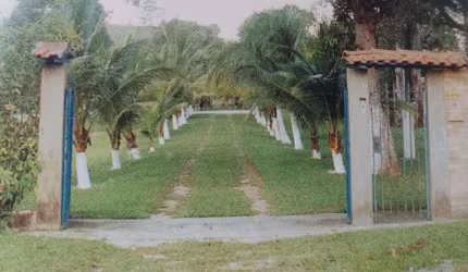Sítio para Venda em Nova Iguaçu, Figueiras
