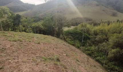Sítio à venda, 30000 m² por R$ 800.000 - Cachoeira - Juiz de Fora/MG