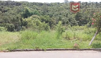 Terreno com 420 m², no Condomínio Nova Gramado, estuda permuta.