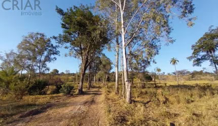 Terreno para Venda em Ribeirão das Neves, Savassi, 1 dormitório, 2 suítes, 1 banheiro, 10 vagas