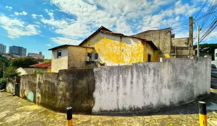 Terreno em Vila das Palmeiras  -  Guarulhos
