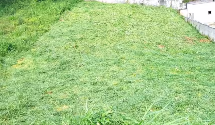 Terreno em Centro  -  Santa Isabel