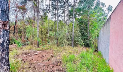 Terreno em Corumbá  -  Mairiporã