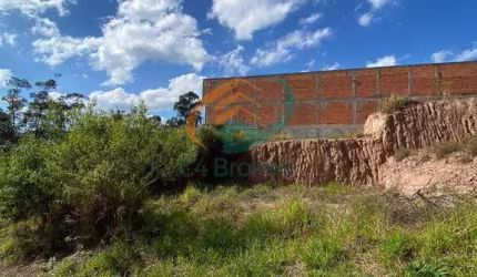 Terreno em Jardim Paraiso  -  Guarulhos