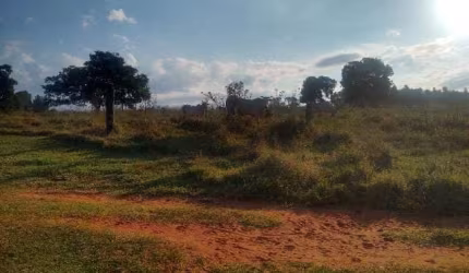 Chácara de 18 hectares. 38 km de Campo Grande.