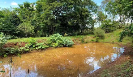 Chácara de 28 hectares. Rica em água.