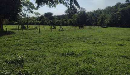 Chacara com córrego e nascente. 13 km de Campo Grande.