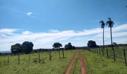 185 hectares. 27 km de Campo Grande.