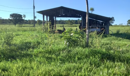 Fazenda de 100 hectares.  Banhada pelo Rio São João, aceita PERMUTA.
