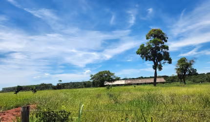 Chacara de 20 hectares.  Casa sede Boa.