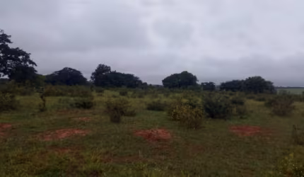Chacara de 10 hectares.  Com Córrego.
