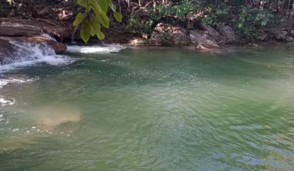 100 hectares.  BONITO MS.  Oportunidade.