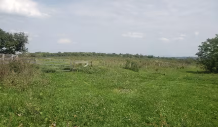 Oportunidade 103 hectares.  R$3.500.000,00
