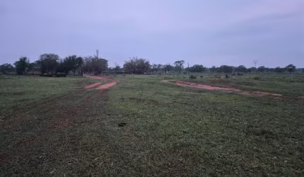 Oportunidade.  9.4 hectares.  1 km da BR.