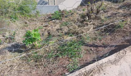 Lote no bairro Arcádia por R$130.000,00  -  Conselheiro Lafaiete