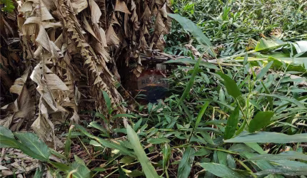 Grande Terreno à Venda em Botujuru, Campo Limpo Paulista