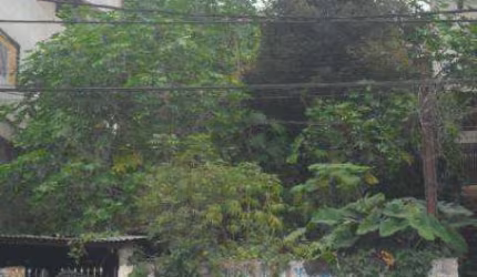 Terreno para Venda em Osasco, Baronesa