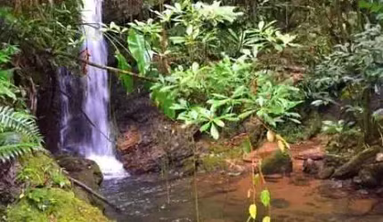 Sítio com cachoeiras em Tijucas/SC