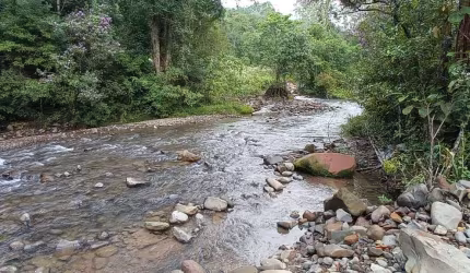Área rural à venda em Santa Rosa de Lima/SC