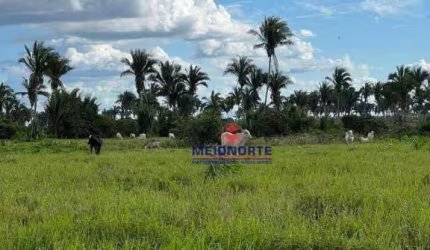 Fazenda com 1 dormitório à venda, 14400000 m² por R$ 2.500.000,00 - Arari - Zona Rural - Arari/MA