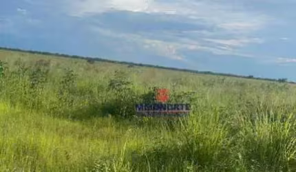 Fazenda com 1 dormitório à venda, 17153601 m² por R$ 17.160.000,00 - Área Rural - Floriano/PI