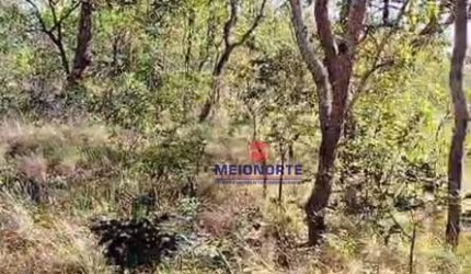 ## Fazenda à Venda em São Pedro dos Crentes, MA ##