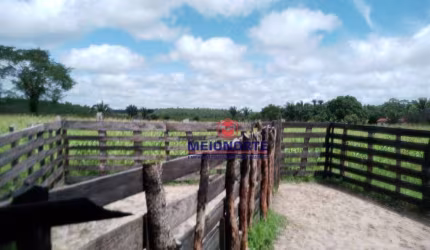 FAZENDA À VENDA – 200 HECTARES EM REGIÃO ESTRATÉGICA