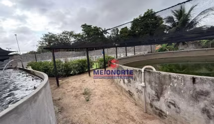 Fazenda com 1 dormitório à venda, 2600 m² por R$ 5.000.000 - Vila Maioba do Janipapeiro - Paço do Lumiar/MA