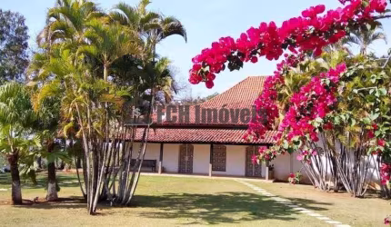 Haras no Soamin em Porto Feliz