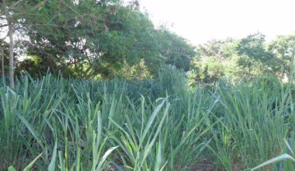 Terreno para Venda em Saquarema, Itauna