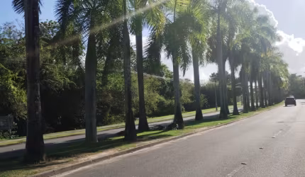 'Exclusividade no Alphaville Litoral Norte 2: Lote de Esquina Pronto para Seu Sonho!'