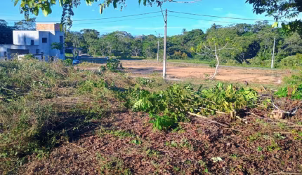 Lote Plano e Nascente no Condomínio Naturaville 1 – Pronto para Construir!