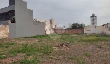 Terreno para locação em Alemães - SP
