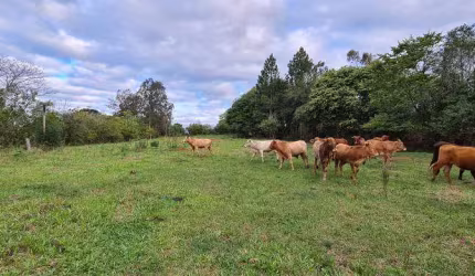 Chácara em Triunfo