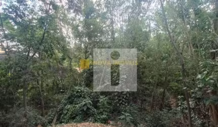 Terreno Residencial à venda, Sousas, Campinas - TE0234.