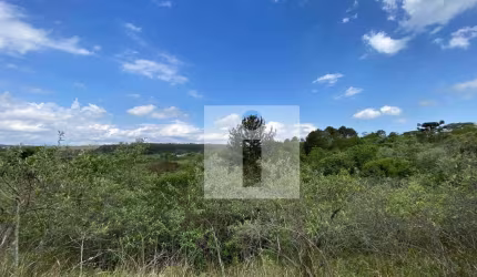 Terreno à venda, 20000 m² por R$ 700.000,00 - Joaquim Egídio - Campinas/SP