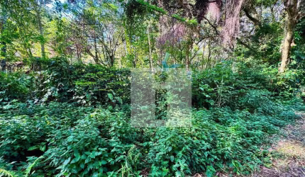 Terreno à venda, 564 m² por R$ 564.000,00 - Parque Jatibaia (Sousas) - Campinas/SP