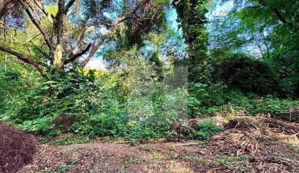 Terreno à venda, 609 m² por R$ 609.000,00 - Parque Jatibaia (Sousas) - Campinas/SP