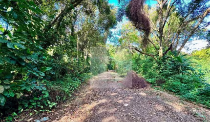 Terreno à venda, 347 m² por R$ 350.000,00 - Parque Jatibaia (Sousas) - Campinas/SP