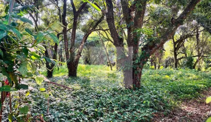 Terreno à venda, 343 m² por R$ 345.000,00 - Parque Jatibaia (Sousas) - Campinas/SP