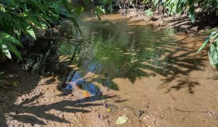 Chácara parcelada em Cerro Azul, Paraná