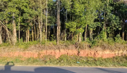Chácara de frente para o asfalto, próximo a estrada da Ribeira