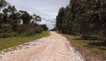 CHÁCARA  3 KM DA IGREJA DO ROSEIRA/COLOMBO COM 20 MIL M²
